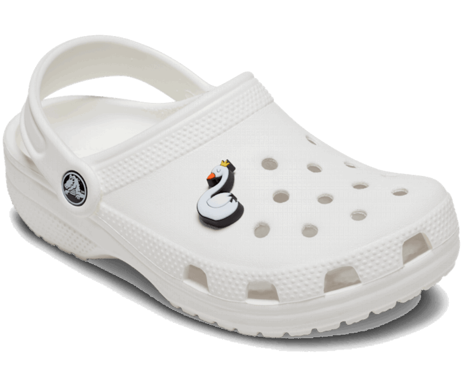 Cigno Coccodrillo